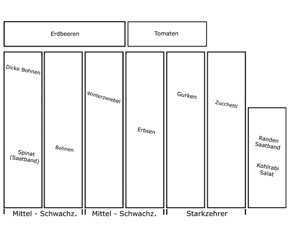 Pflanzplan